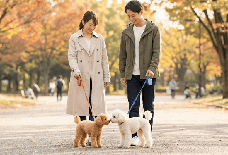 愛犬と一緒に過ごす幸せなカップルのイメージ