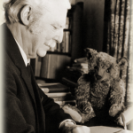 テディベアのすすめ