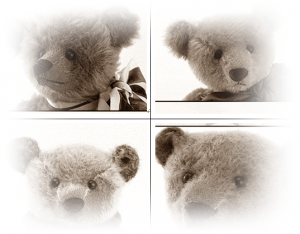 テディベアにはソフトベアとハードベアがあり