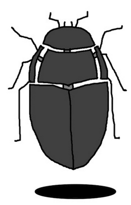 アンティークテディベアの取り扱い方