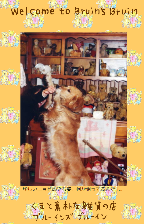 アンティークテディベアのBruinsBryuin