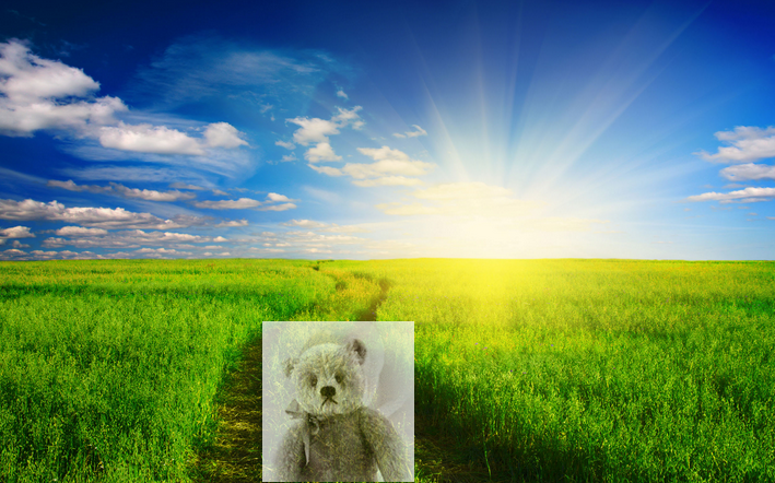 生きる意味とは　1