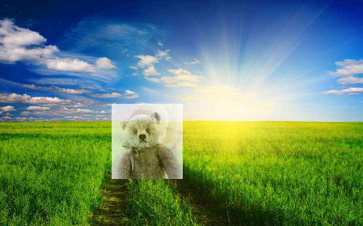 生きる意味とは　2