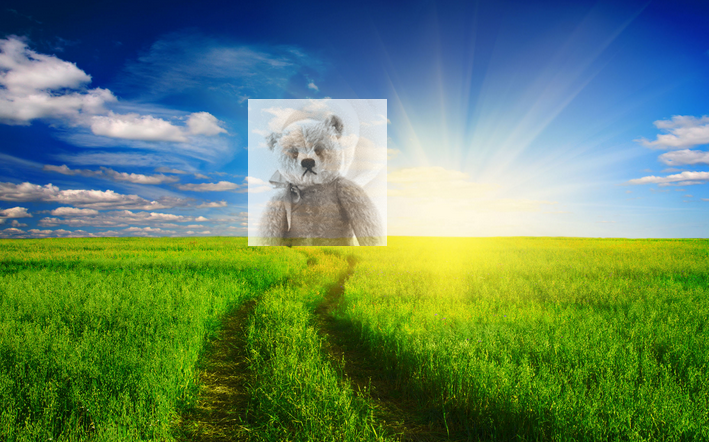 生きる意味とは　3