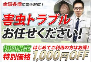 シロアリ駆除の見積もりは無料でできる？悪質業者に騙されないための相見積もりのコツ