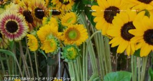 【義母が涙】ありきたりなプレゼントはもう卒業！40代が選ぶ「世界に一つだけの花」体験談