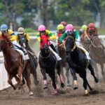 AI競馬新聞をレーダーチャートで可視化【う馬まとめ】