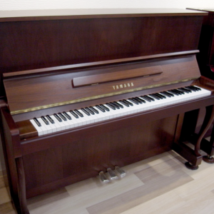 カフェサロンの演奏