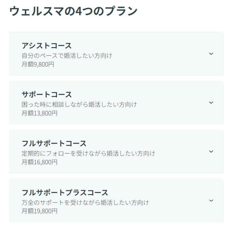 ウェルスマのサービスロゴ
